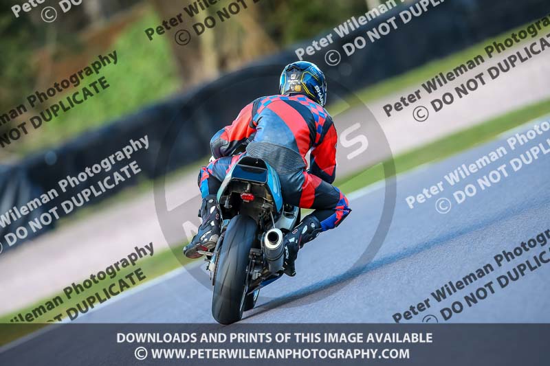 Oulton Park 20th March 2020;PJ Motorsport Photography 2020;anglesey;brands hatch;cadwell park;croft;donington park;enduro digital images;event digital images;eventdigitalimages;mallory;no limits;oulton park;peter wileman photography;racing digital images;silverstone;snetterton;trackday digital images;trackday photos;vmcc banbury run;welsh 2 day enduro